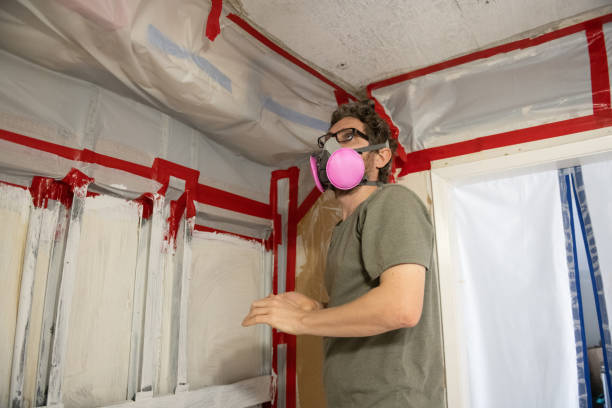 Mold Odor Removal Services in Skippers Corner, NC