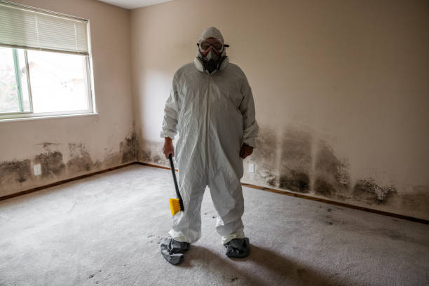 Best Mold Removal for HVAC Installations  in Skippers Corner, NC